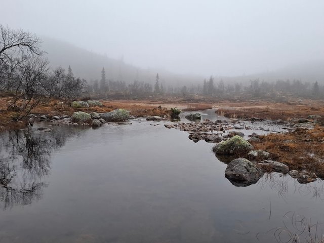 Søndag 26. oktober KL.11.00: GUDSTJENESTE