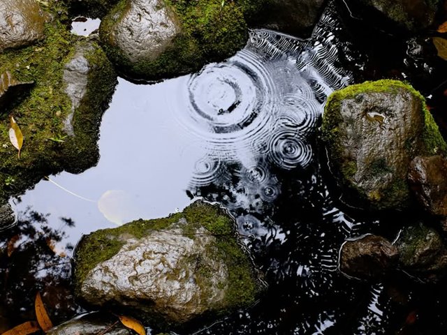 Åpen kirke og Ord for dagen
