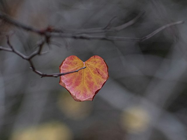 Søndag 25. januar KL. 11.00: GUDSTJENESTE
