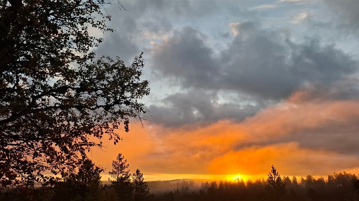 facebook_1770119043747_7424417385665045542