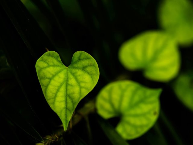 Søndag 9. november 2025 Kl. 11.00: DIN GUDSTJENESTE