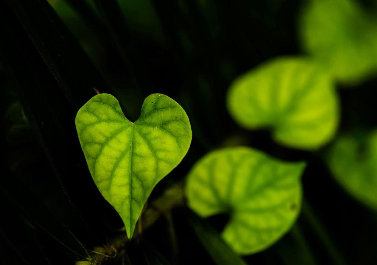 fb_img_1762190825382