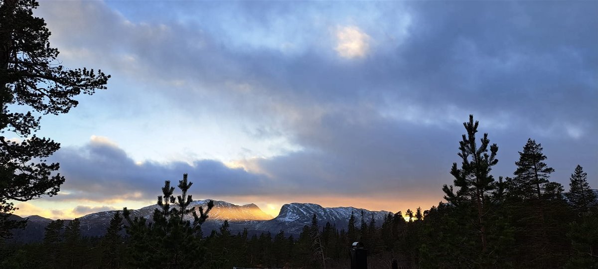 fb_img_1763493407043