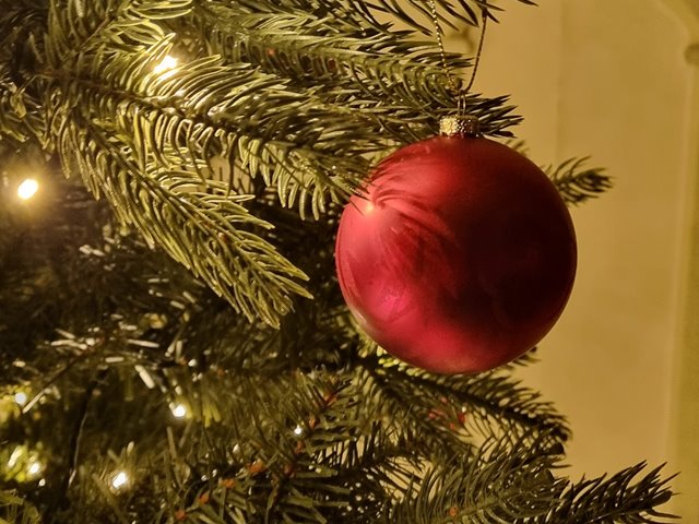 Juletrefest