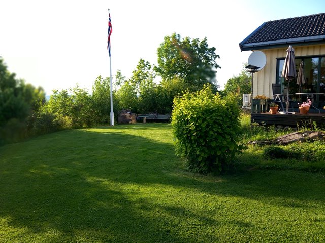 Sommermøte i Loveien 44 hos Ivar Granum. Kom gjerne fra 15:00 og ta med deg campingstol/bord om du har. Vi synger oss sammen, har andakt og nyter fellesskapet. Grillen er tent fra kl. 16:00. Ta med det du vil grille, eller noe annen mat du vil dele.